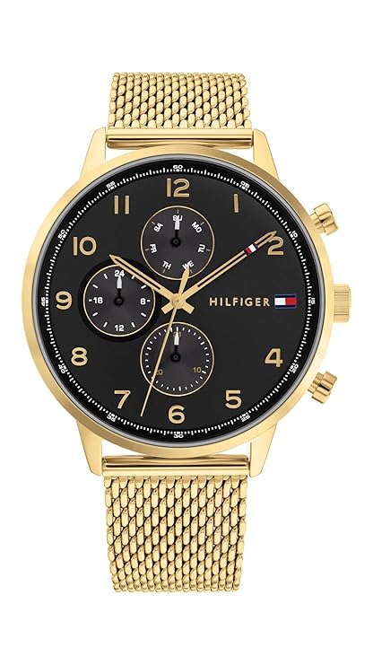TOMMY HILFIGER TH1791989 Analog Watch - For Men