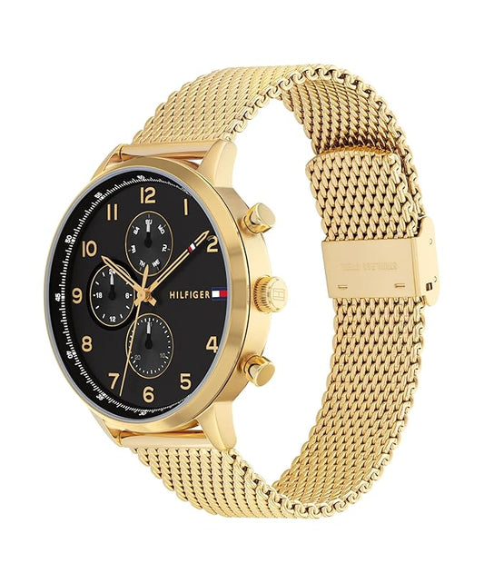 TOMMY HILFIGER TH1791989 Analog Watch - For Men