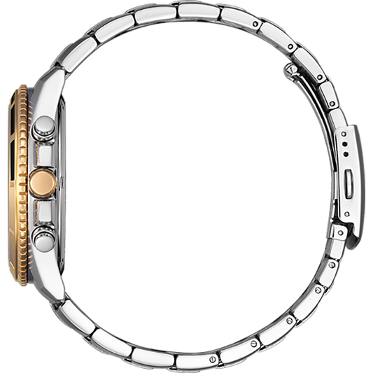 Quartz Chronograph AN8204-59H