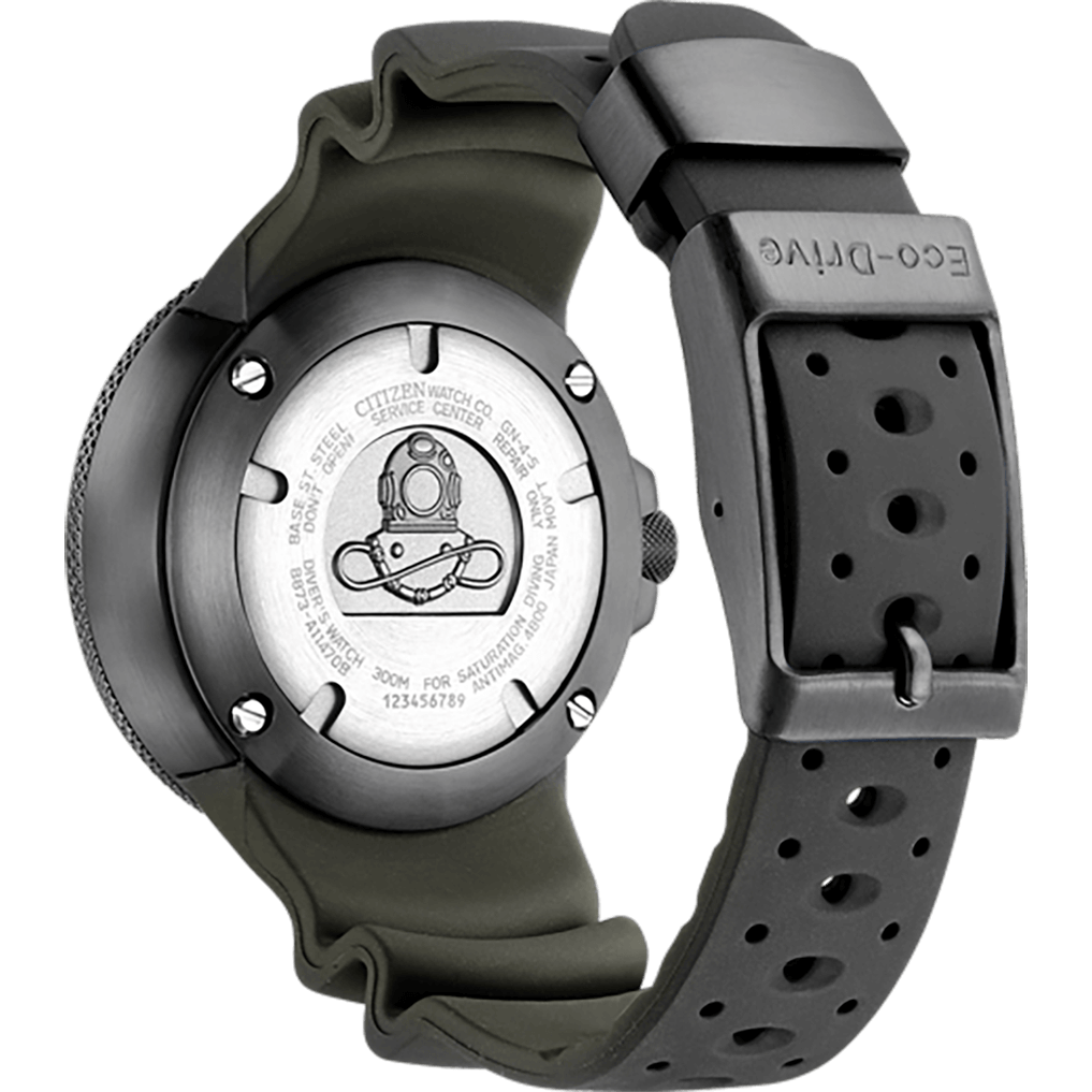 Promaster Professional Diver 300 BJ8055-04X