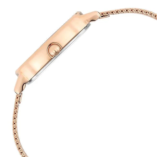 Titan Raga Viva Brown Dial Analog Stainless Steel Strap Watch for Women nu2665wm01 Women's Watch