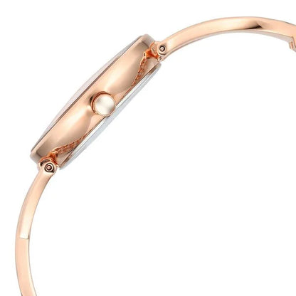 Titan Raga Chic Quartz Analog Rose Gold Dial Metal Strap Watch for Women nu2698wm01
