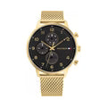 TOMMY HILFIGER TH1791989 Analog Watch - For Men