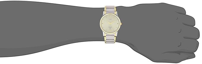 Classics Men Quartz Beige Dial Analog Stainless Steel Watch TW000R426