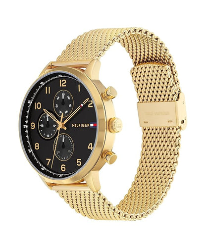 TOMMY HILFIGER TH1791989 Analog Watch - For Men