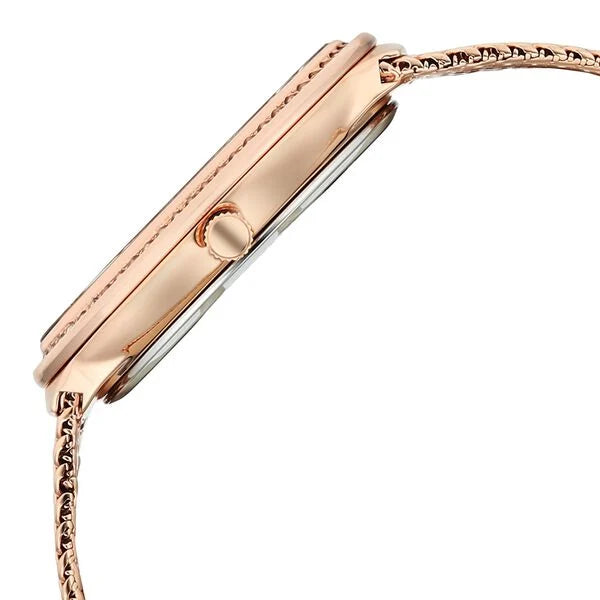 Titan Raga Glimmers Quartz Analog Brown Mother Of Pearl Dial Rose Gold Metal Strap Watch For Women nu95338wm01f