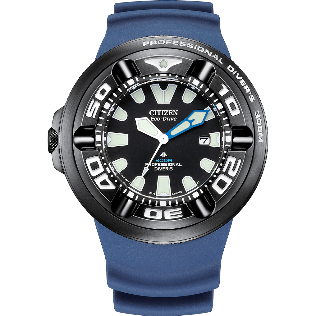 Promaster Professional Diver 300 BJ8055-04E