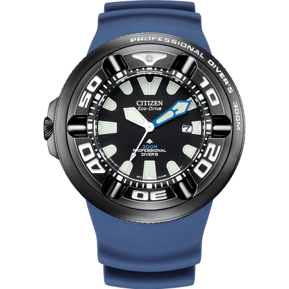 Promaster Professional Diver 300 BJ8055-04E