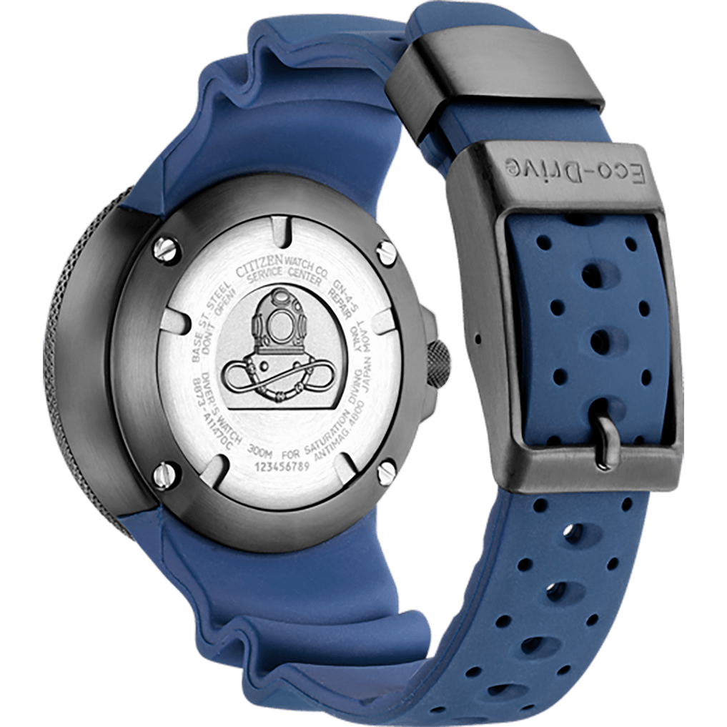 Promaster Professional Diver 300 BJ8055-04E
