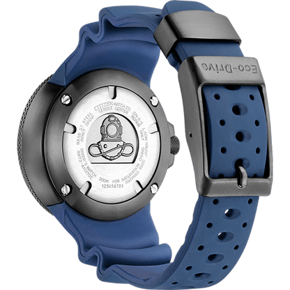 Promaster Professional Diver 300 BJ8055-04E