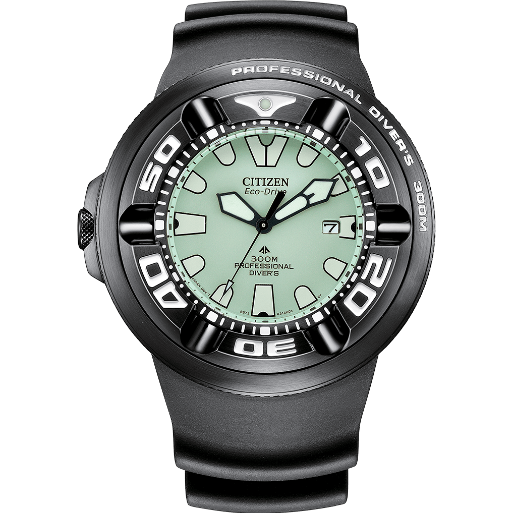 Promaster Professional Diver 300 BJ8055-04X