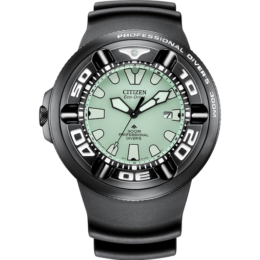 Promaster Professional Diver 300 BJ8055-04X
