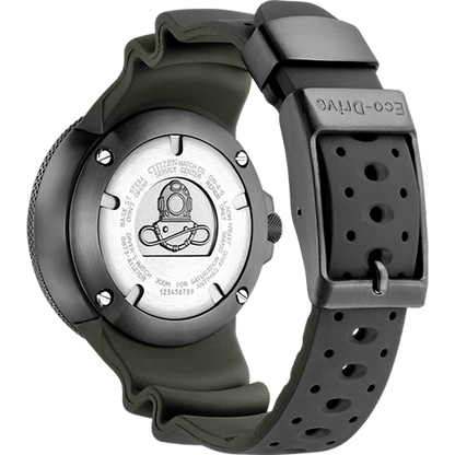 Promaster Professional Diver 300 BJ8055-04X