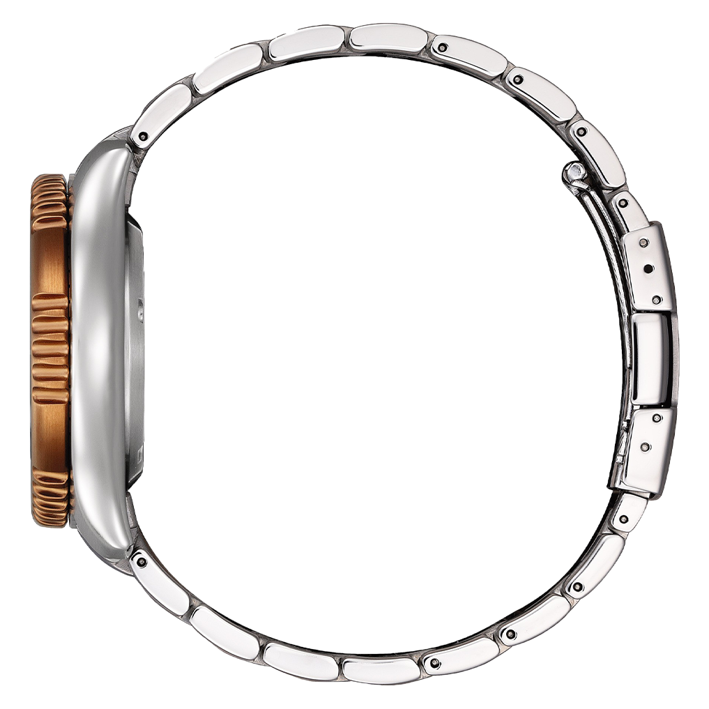 Fugu - Promaster Marine Limited edition NY0164-65X