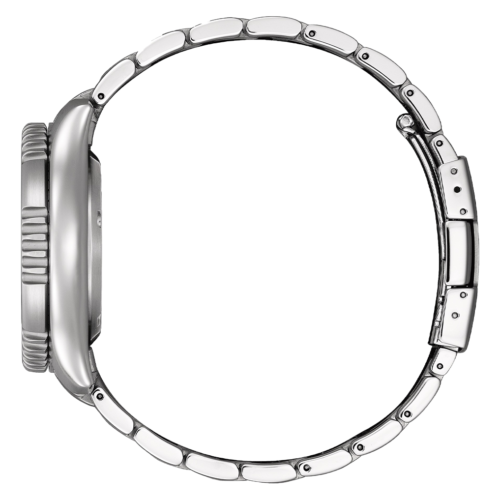 Fugu - Promaster Marine Limited edition NY0168-64A