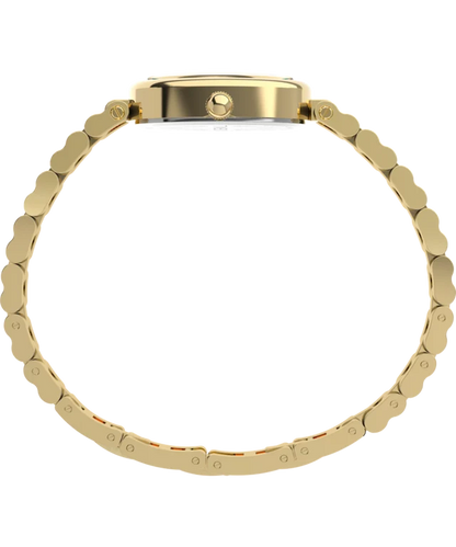 Cavatina® Luxe 22mm Stainless Steel Watch TW2Y86100