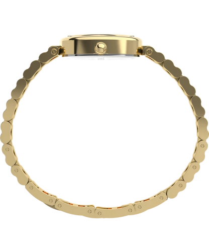 Cavatina® Luxe 22mm Stainless Steel Watch TW2Y86200