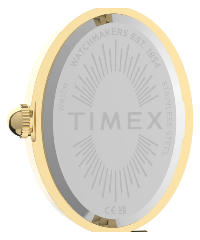 Cavatina® Luxe 22mm Stainless Steel Watch TW2Y86200