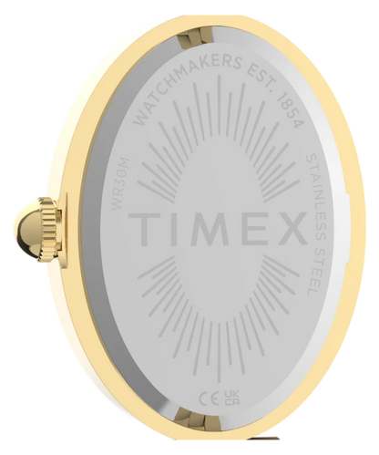 Cavatina® Luxe 22mm Stainless Steel Watch TW2Y86200