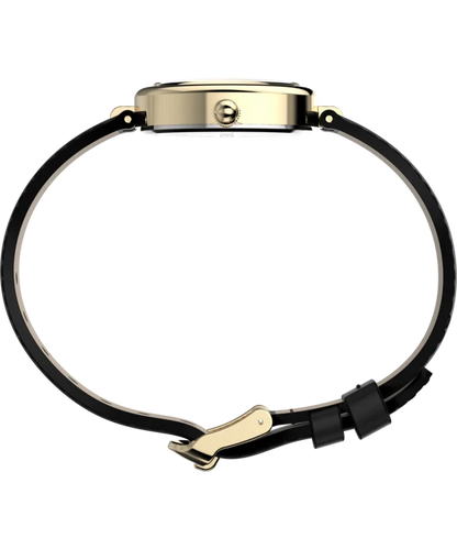 Cavatina® Luxe 22mm Leather Strap Watch TW2Y86300