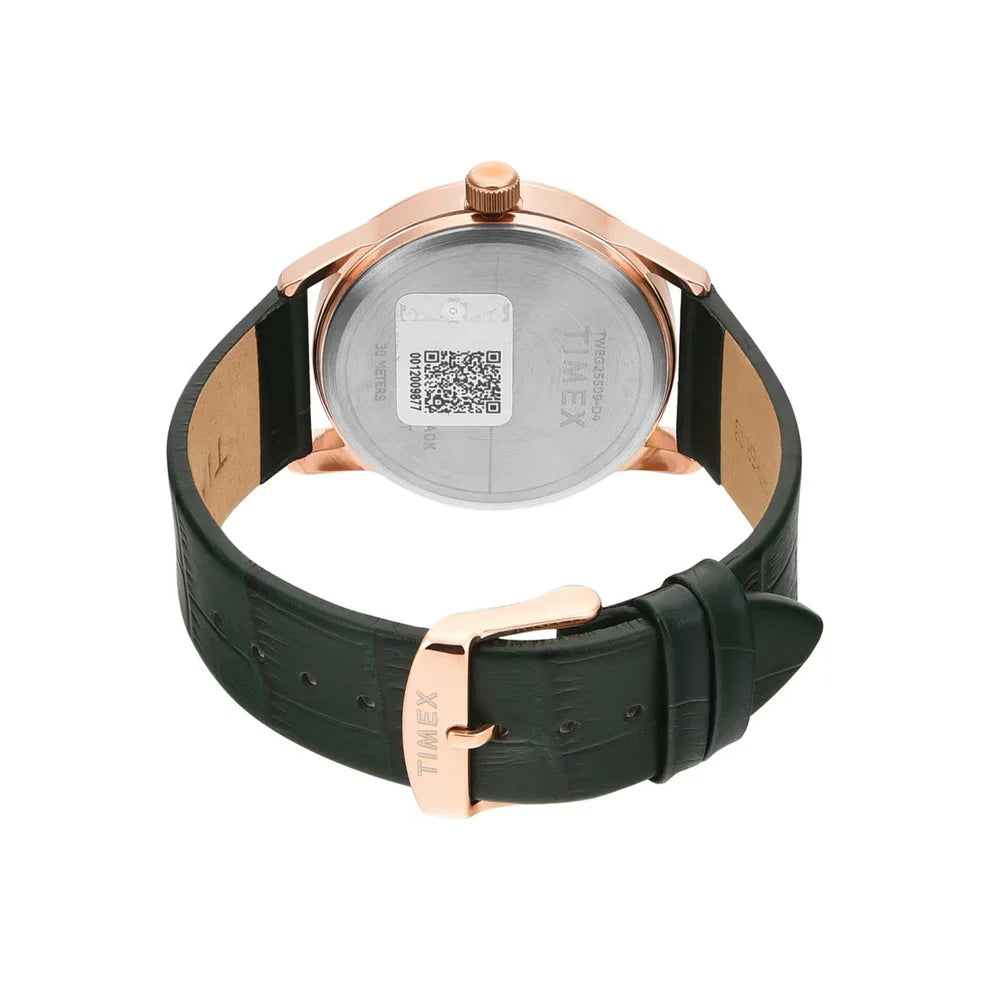 Timex Men Green Dial Analog Watch - TWEG25509