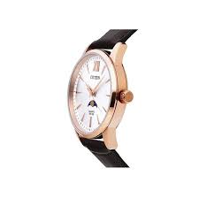 Citizen Mens Leather Analogue Watch - AK5003-05A (Silver_Free Size)