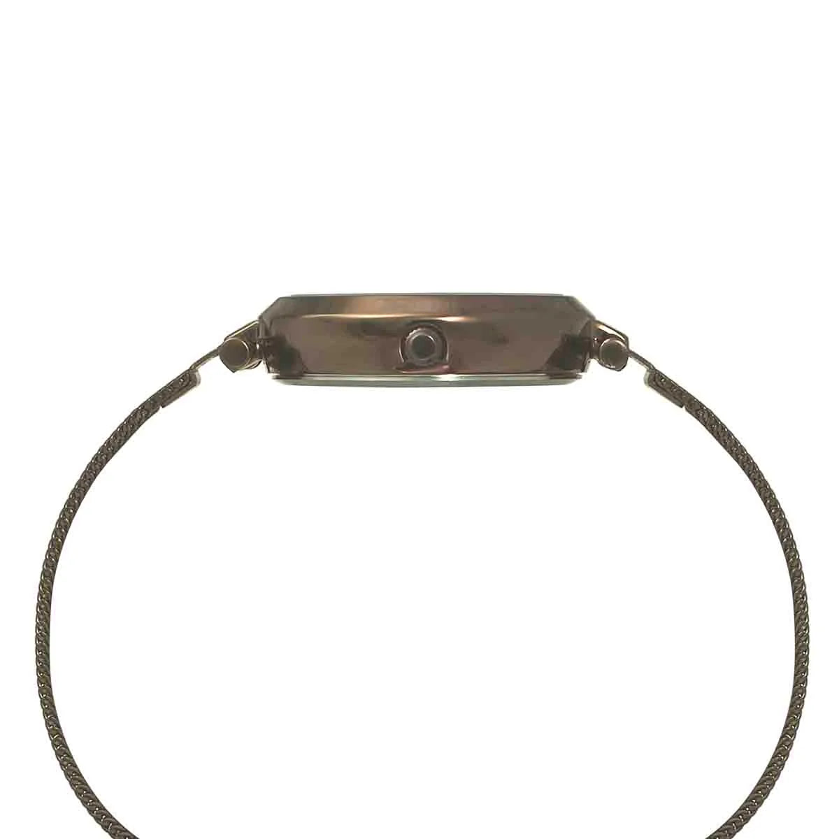 Timex Fashion Women's Brown Dial Round Case 3 Hands Function Watch -TWEL11825